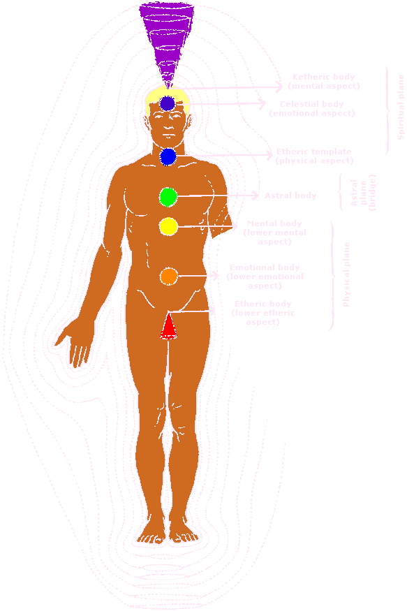 Barbara Brennan Chakra Chart