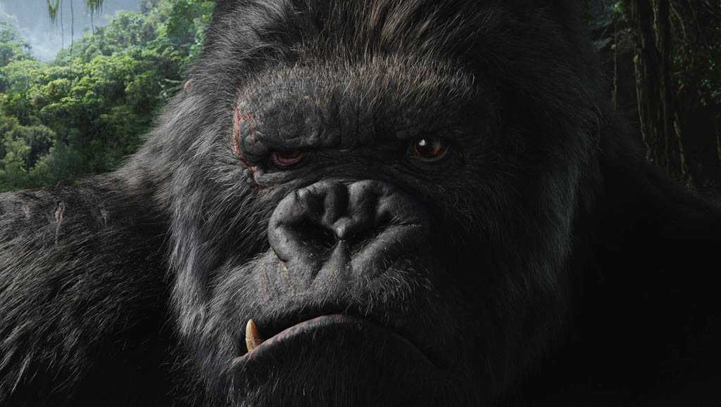 don king kong