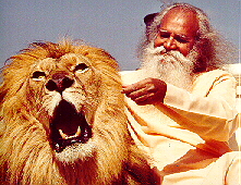Meditation Lion with Swami Satchidananda