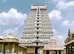 Tour to Thiruvannamalai