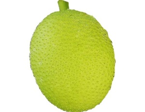 Breadfruit - nutritional information