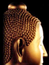 BUDDHA ZEN MEDITATION