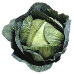 Cabbage nutritional information