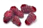 Loganberries - nutritional information