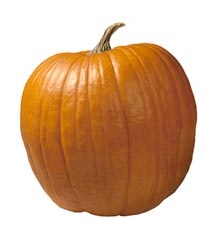 Pumpkin nutritional information