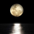 Thumbnail for version as of 01:04, 22 June 2020