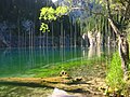 A mountain lake in south-east Kazakhstan after a landslide, photographed by Jonas Satkauskas (user "Jsx")