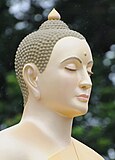 Head of a Buddha image.jpg