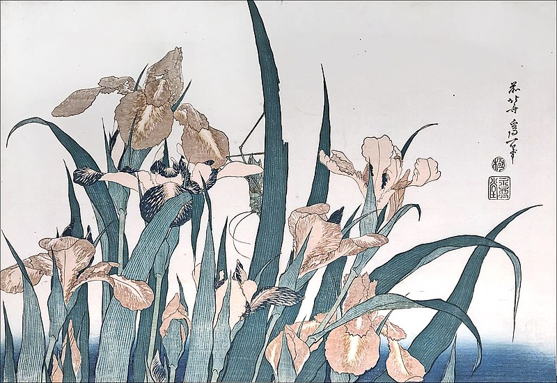 File:"Iris et sauterelle" d'Hokusai (Musée Guimet, Paris) (51360904717).jpg