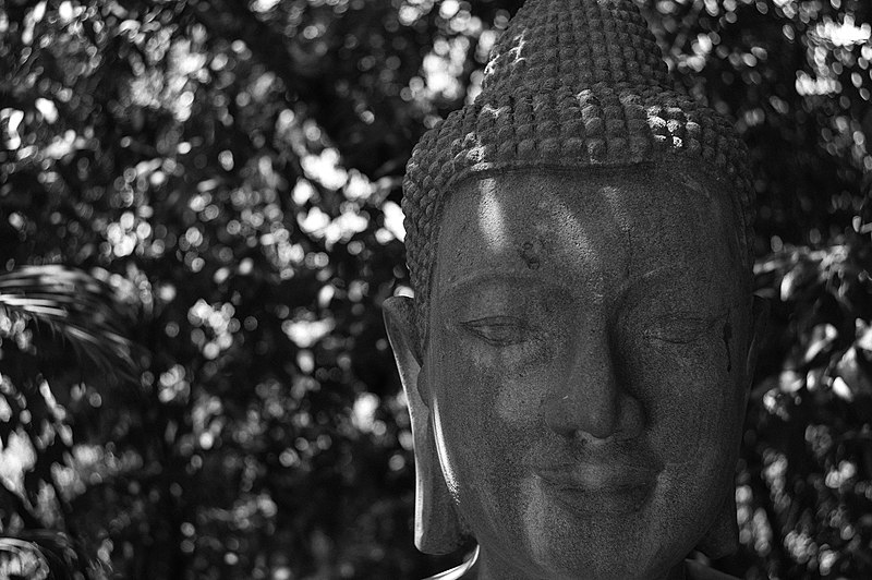 File:Cool Buda (21539123).jpeg