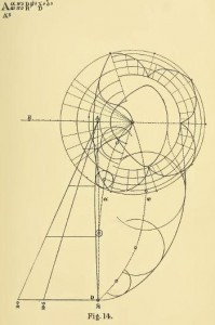 Geometrical Psychology or the Science of Representation PDF