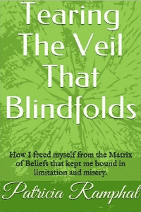 Tearing The Veil That Blindfolds PDF Book