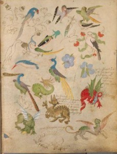 The Illuminated Sketchbook of Stephan Scriber The Illuminated Sketchbook of Stephan Scriber Free PDF e-book