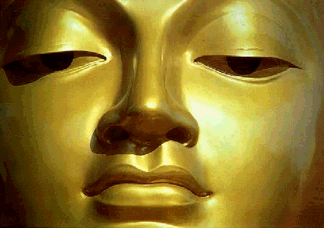 Image34.gif (137255 bytes)