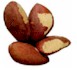 Brazil nut nutritional information