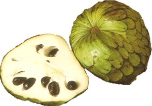 Cherimoya - nutritional information