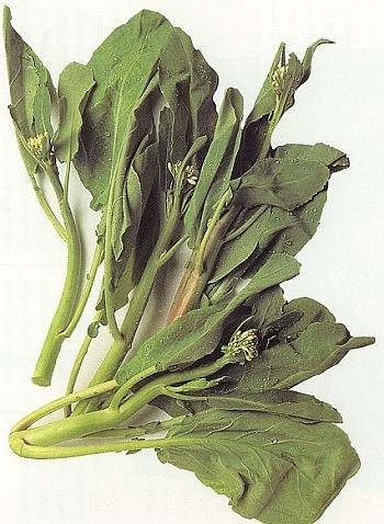 Chinese broccoli nutritional information
