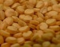 Quinoa nutritional information