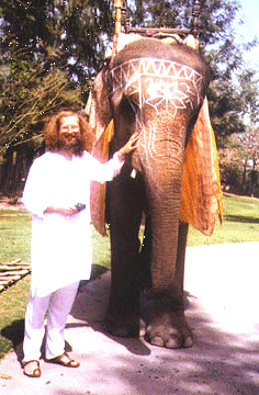 Elephant Picture taken in India with Meditation Course Director