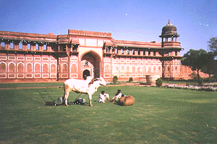 The red Fort - The Energy Enhancement Meditation Course 